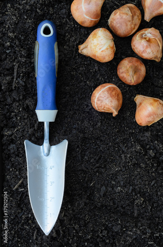 Flower Bulb and Trowel