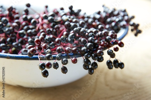 Bowl of elderberries photo