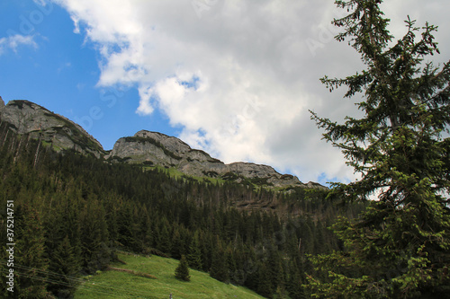 Fototapeta Naklejka Na Ścianę i Meble -  clouds over the mountains