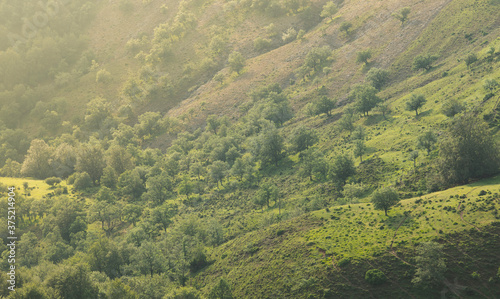 Aerial picture of a green landscape surrounded by clouds at sunset.