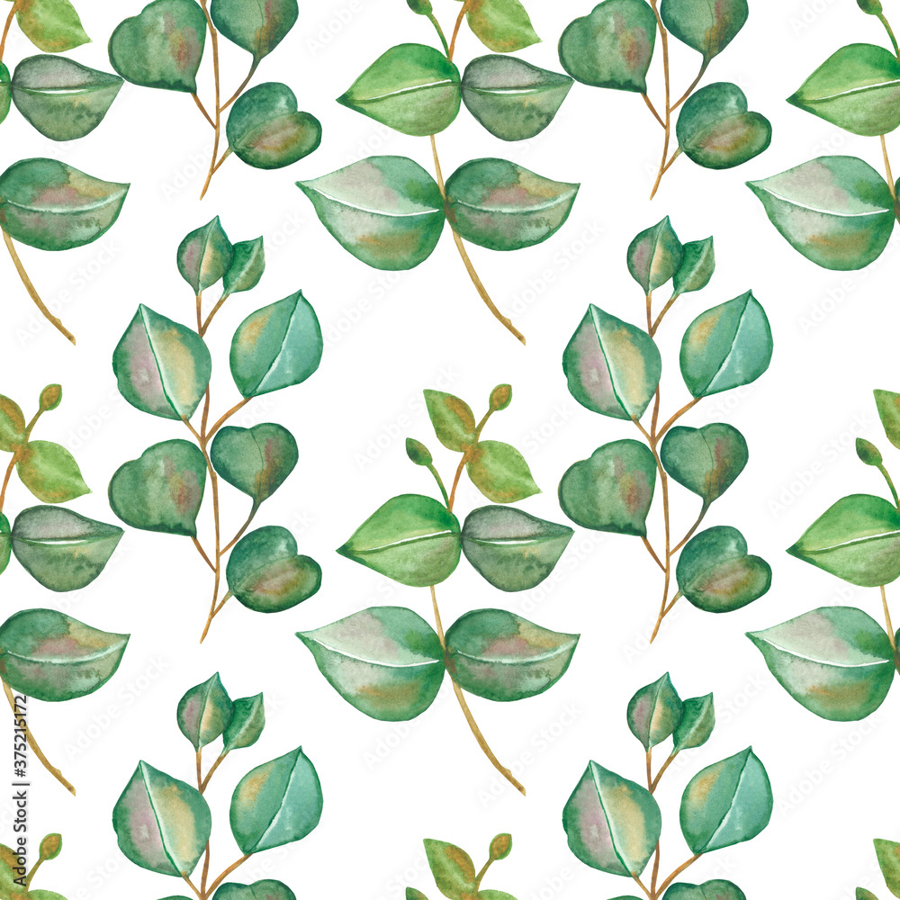 Watercolor hand painted nature greenery plants seamless pattern with green eucalyptus leaves on branches composition isolated on the white background for print design, wallpapers and textile