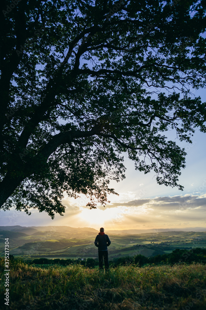 Tree in a field with a man Tree in a field with a man