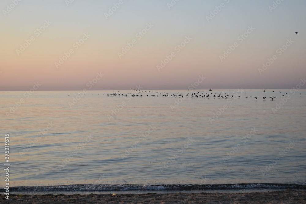 Naklejka premium sunset on the beach