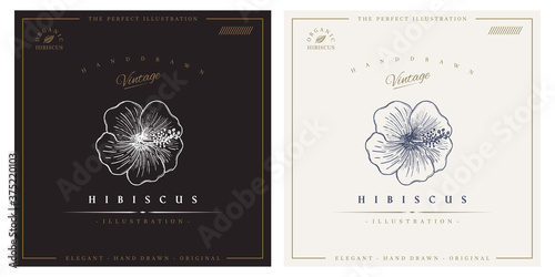 Hibiscus flower vintage logo illustration