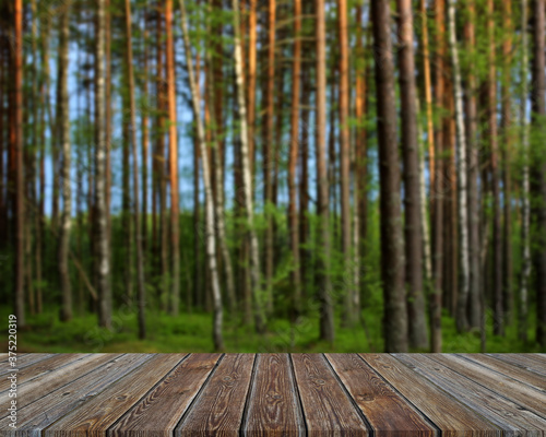 Empty wooden flooring on blurry forest background.