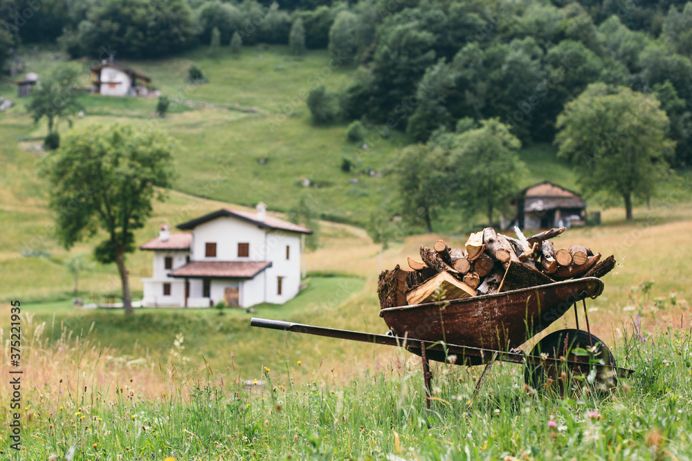 Wheelbarrow with firewood Stock Photo | Adobe Stock