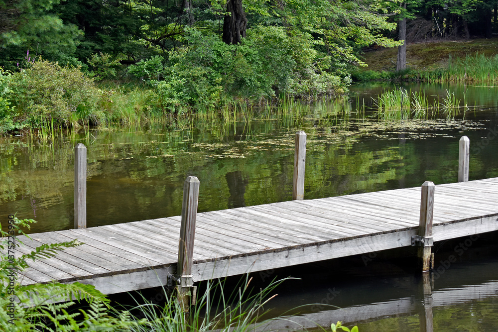 Naklejka premium Dock on Lake