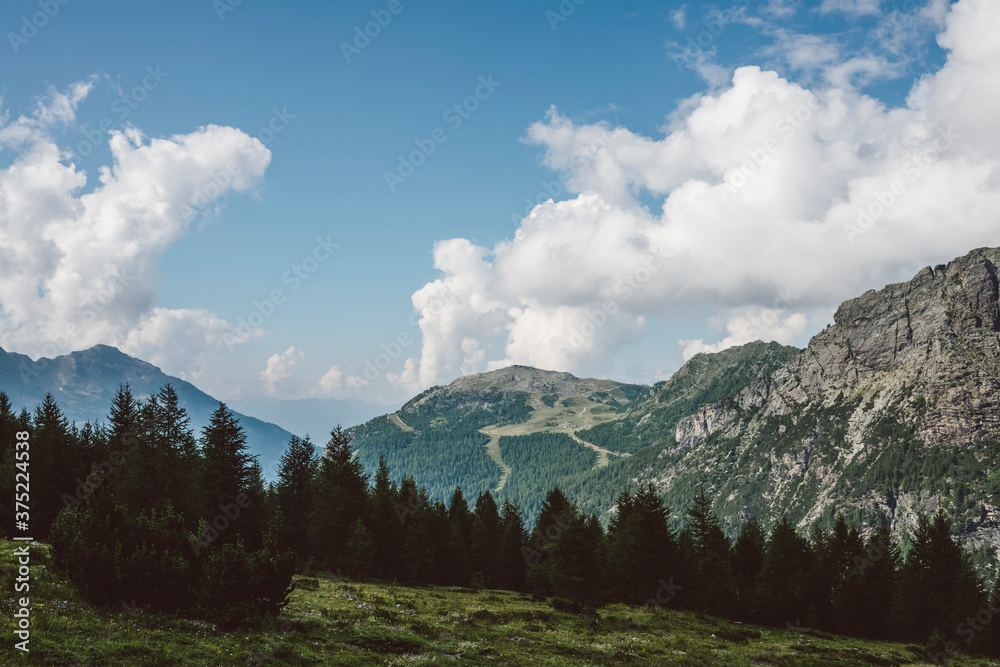 Mountain landscapes with coniferous forest