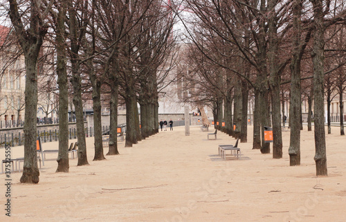Photography trail with trees in berlin gray day winter
