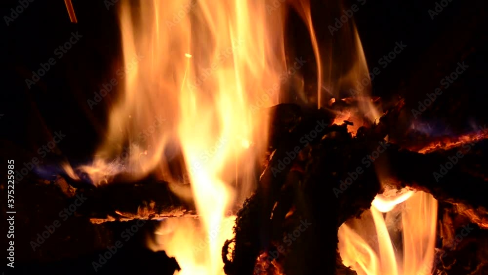 the wood burning in the fireplace. embers in a fire of forest gifts the wood burning in the fireplace. embers in a fire of forest gifts