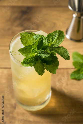 Canvas Print Refreshing Mint GinGin Mule Cocktail