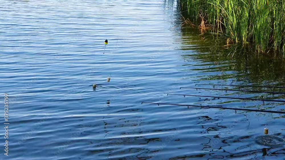 Fishing rods with floats on river water with ripples. Beautiful natural background with objects for tranquil hobby. Concept of pastime Fishing rods with floats on river water with ripples. Beautiful natural background with objects for tranquil hobby. Concept of pastime