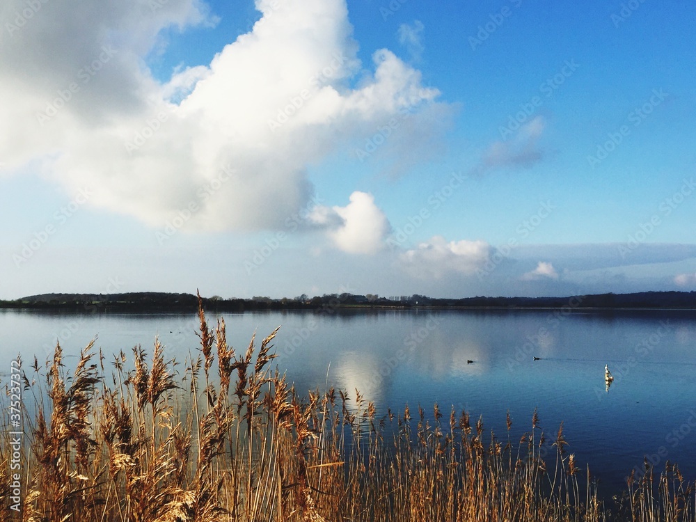 clouds over the fiord reflects in the water