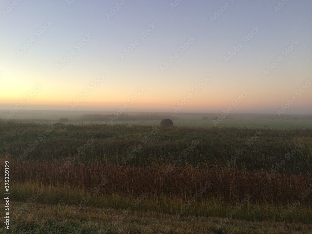 Fog at Dawn