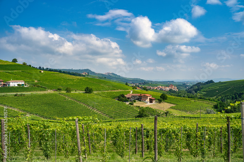 Langhe 5