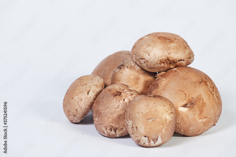 Group of Champignon mushroom, brown variety, isolated on white background. Group of Champignon mushroom, brown variety, isolated on white background.