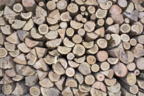 Firewood in households