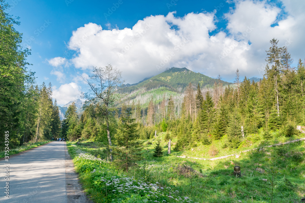 View on the way to the Sea's Eye lake in Tatra National Park.