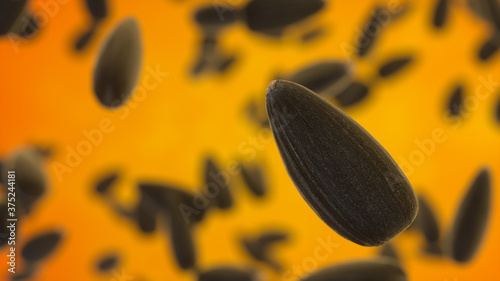 Obraz na plátně Black sunflower seeds on orange background