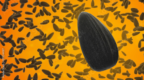 Fotografie Black sunflower seeds on orange background