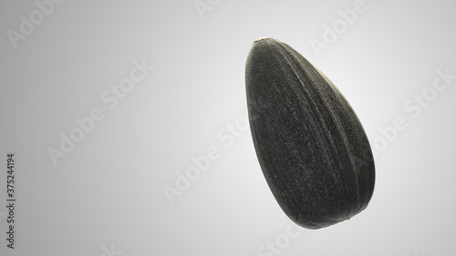Obraz na plátně Ripe sunflower black seed on white background