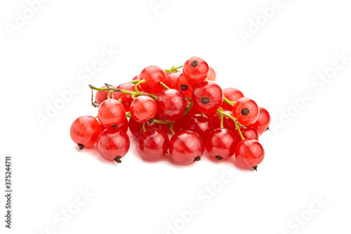 Red currant berries isolated on white background