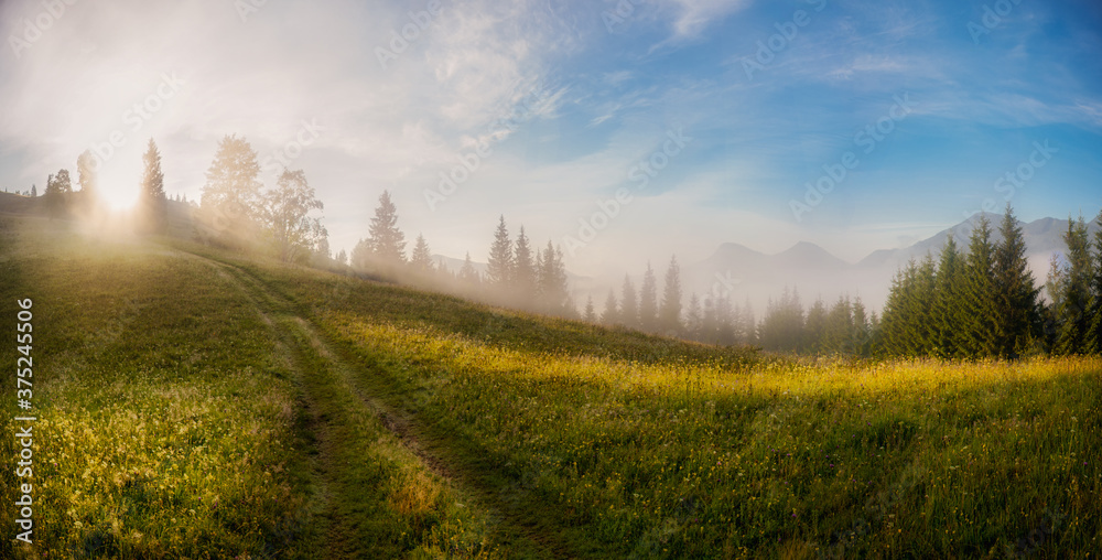 Beautiful sunrise in the mountains. Dawn and fog in the Carpathians, Ukraine