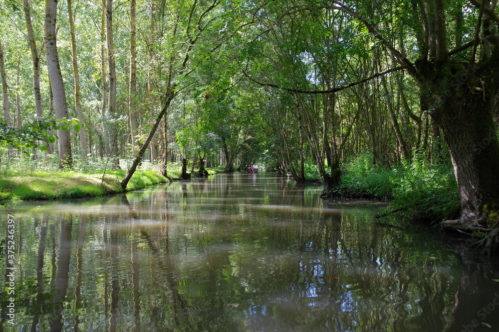 Marais poitevin Marais poitevin