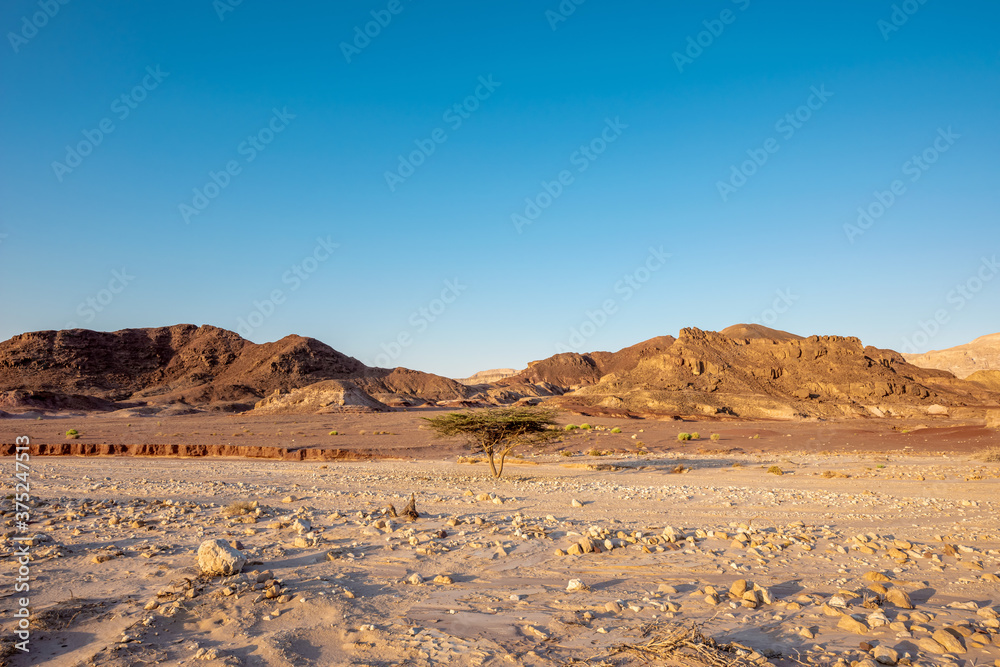 Picturesque landscape in Timna National Park in the Arava Valley near Eilat. Israel.