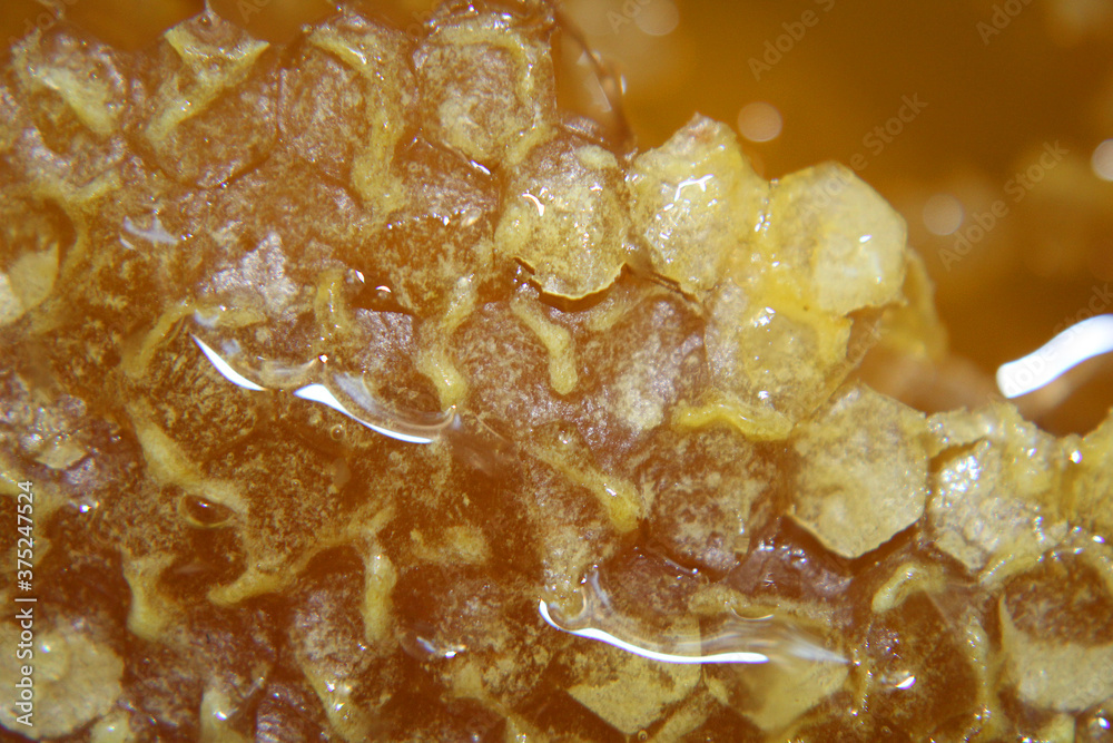 Fresh farm honey and honeycomb close-up. Fresh farm honey and honeycomb close-up.