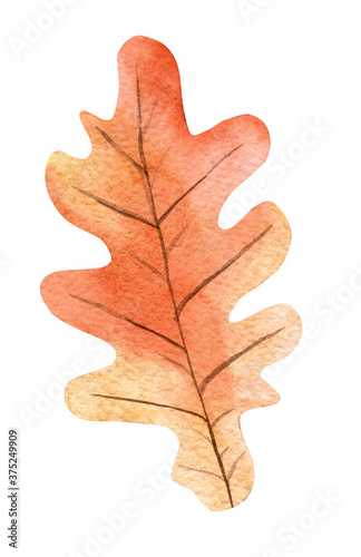watercolor orange oak leaf isolated on white background