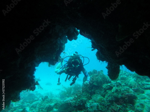 Scuba diving in the caribbean sea  © Ana
