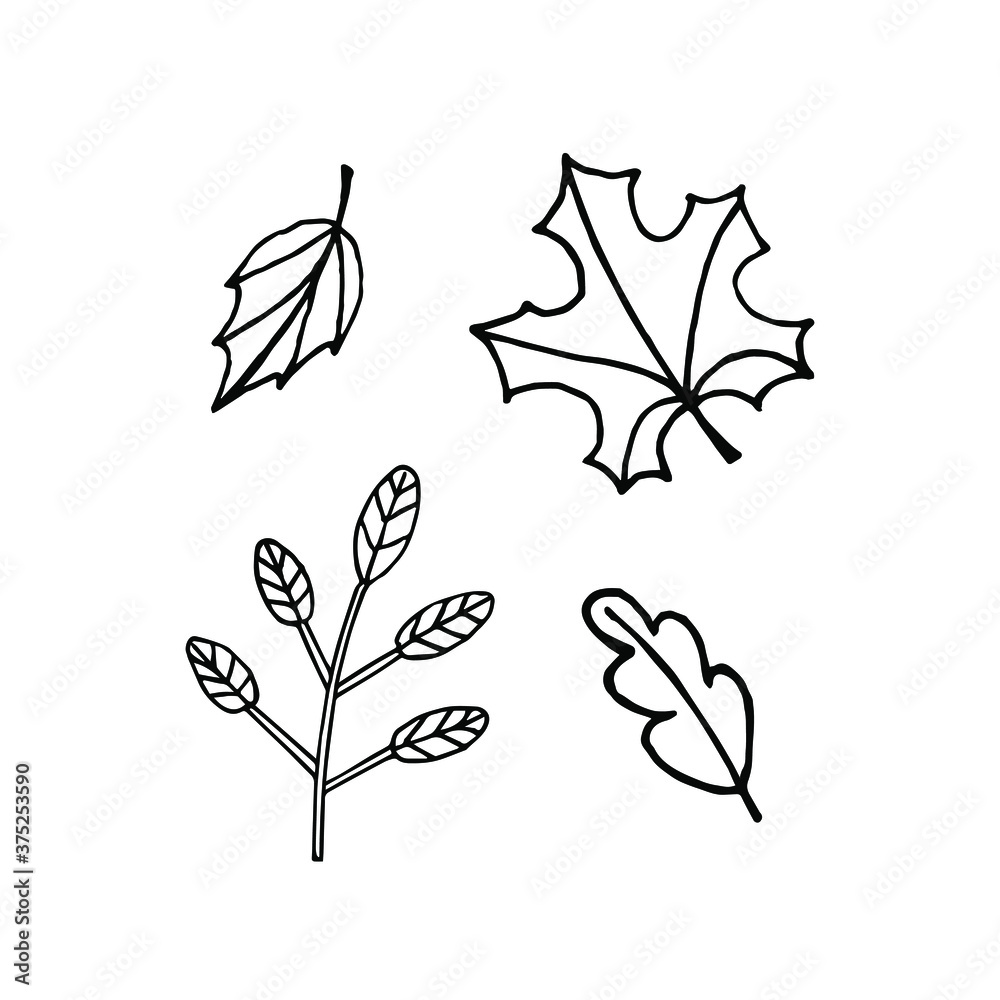 Vector set bundle of hand drawn doodle sketch leaves isolated on white background Vector set bundle of hand drawn doodle sketch leaves isolated on white background