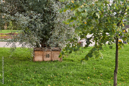 plywood storage box for gardening tools under the tree in the park