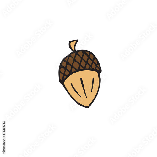 Vector hand drawn doodle sketch colored acorn isolated on white background