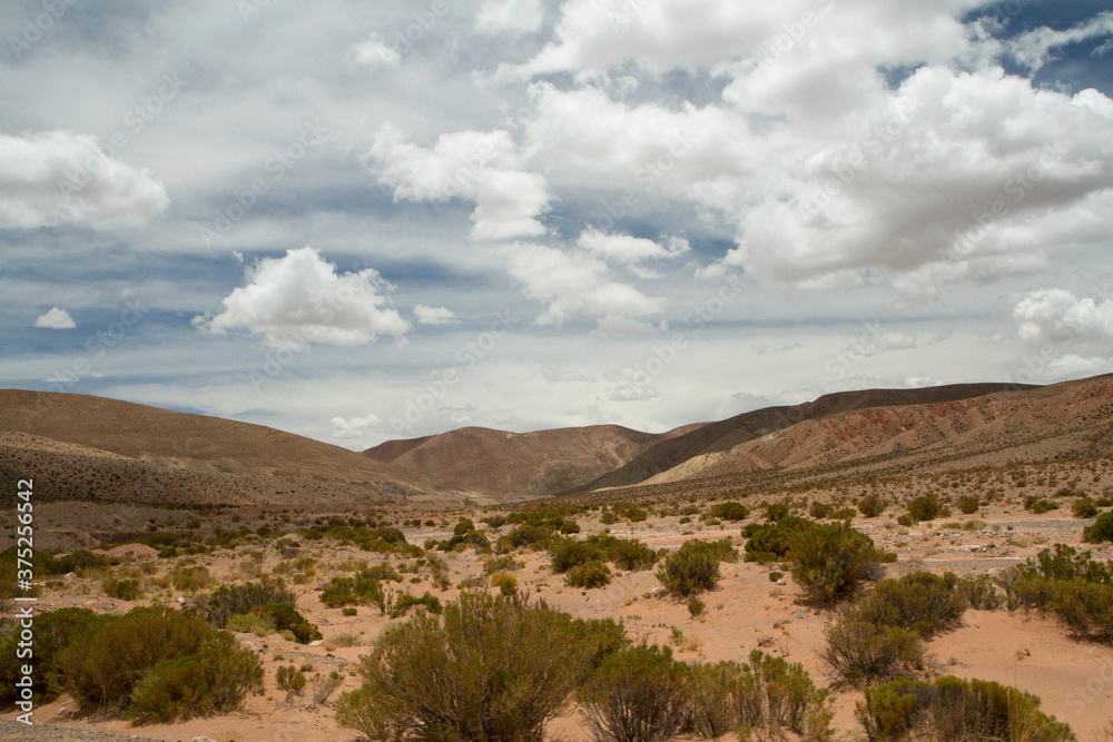 The arid desert, bushes and brown hills under a beautiful summer sky. 