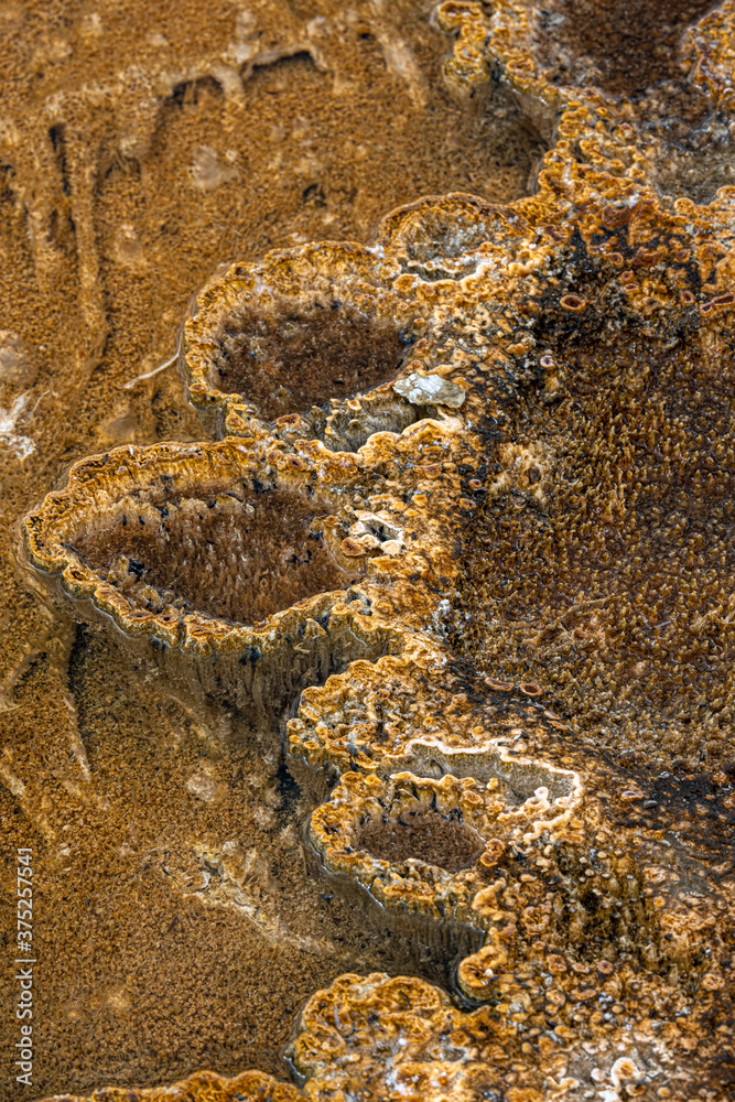 Geothermal Structures in Biscuit Basin, Yellowstone Park