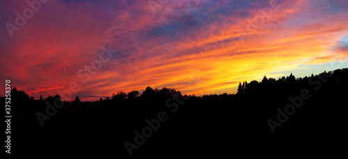 Colorful sunset over the forest  dramatic sky  forest silhouette  panoramic view
