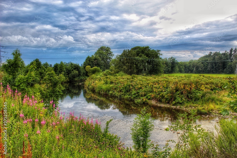 lake in the forest