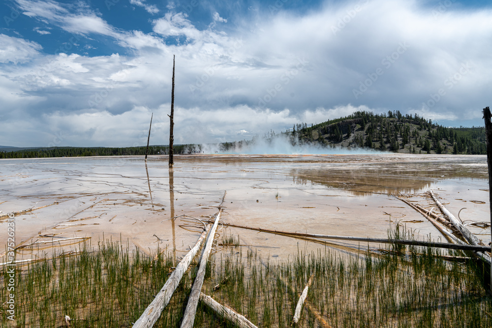 Mud Formations around the Prismatic Pool, Yellowstone Park