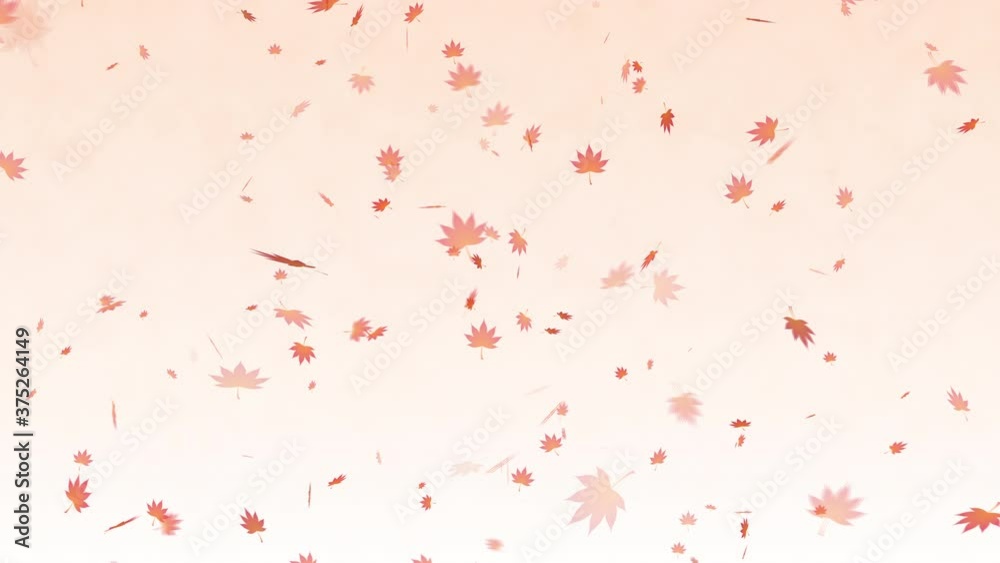 Autumn leaves background Autumn leaves background