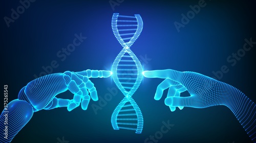 Wireframe DNA sequence molecules structure mesh. Hands of robot and human touching on DNA connecting in virtual interface on future. Artificial intelligence technology concept. Vector illustration.