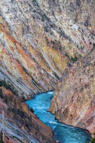 The Grand Canyon in Yellowstone Park