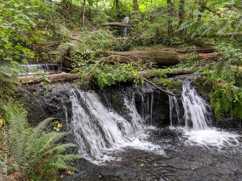 waterfall in the forest