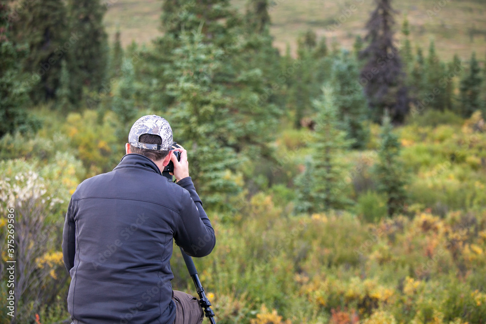 Man photographing trees and forest landscape in Alaska