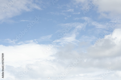 Fototapeta Naklejka Na Ścianę i Meble -  blue skies