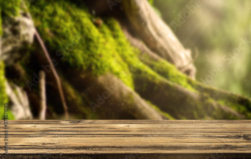 Empty wooden table in front of a forest. Concept Product Banner