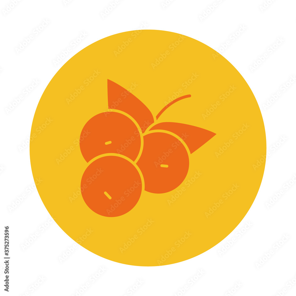 Obraz premium berries icon image, block style