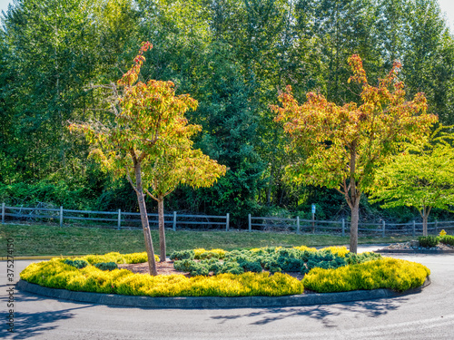 Landscapes and green colors all over the world 