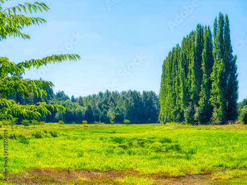 Landscapes and green colors all over the world 
